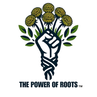 The Power of Roots