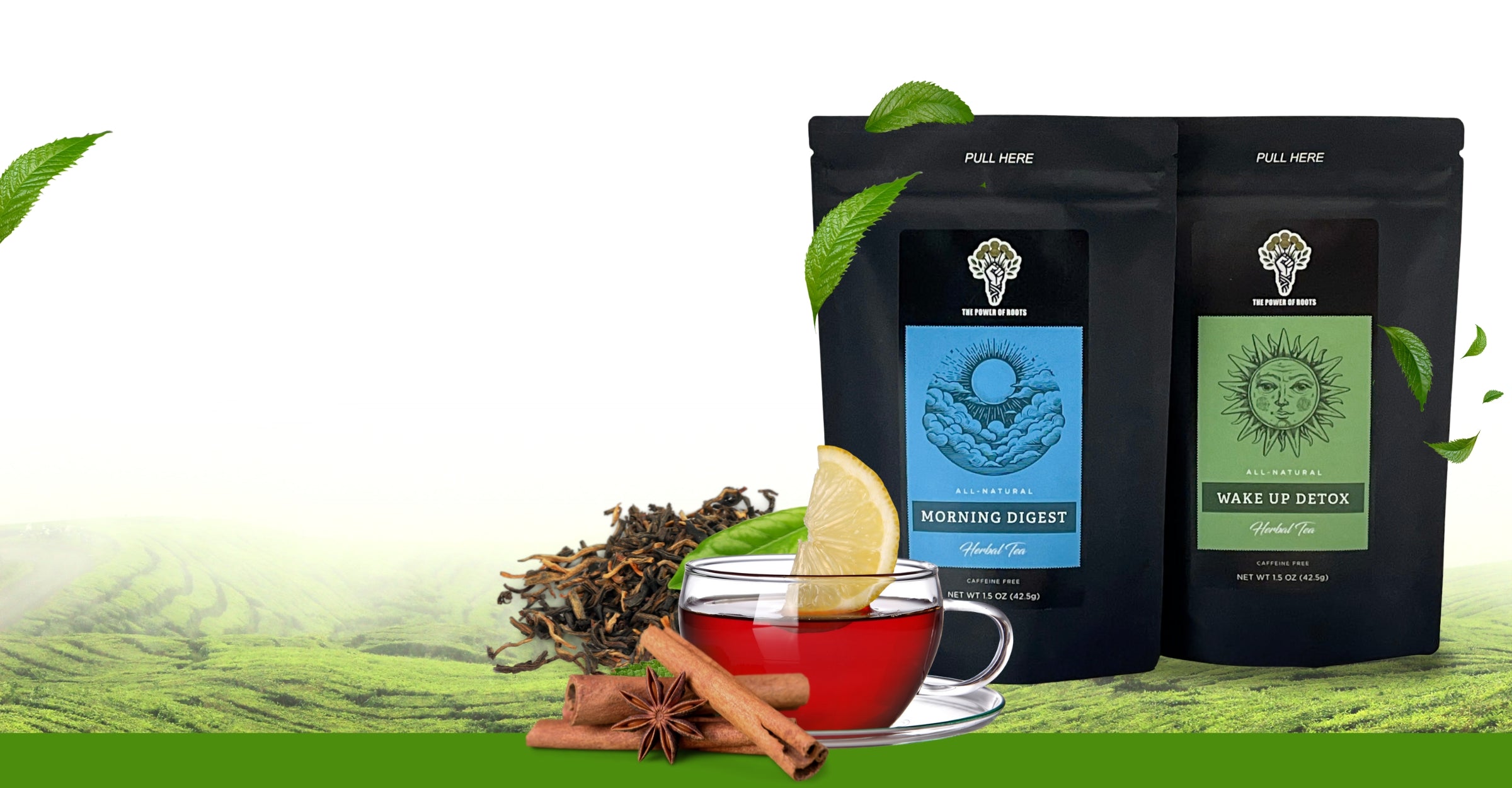 Best Sellers for Gut Health