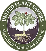 Footer Logo 2